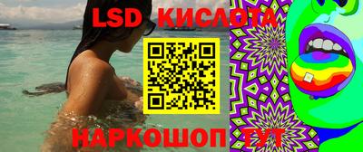 прущие грибы Краснознаменск