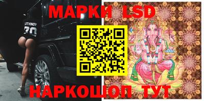 прущие грибы Краснознаменск