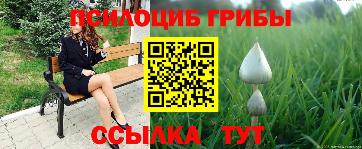 Галлюциногенные грибы MAGIC MUSHROOMS  Вход с VPN  Галлюциногенные грибы GOLDEN TEACHER  Ижевск 