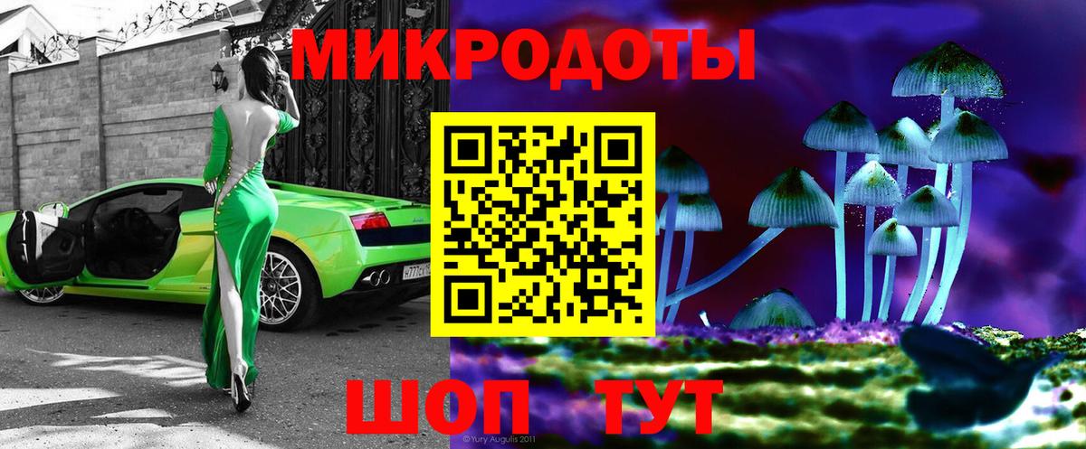Псилоцибиновые грибы Magic Shrooms  Ижевск  Псилоцибиновые грибы Psilocybe 