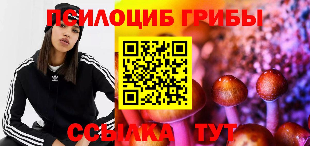 Псилоцибиновые грибы Magic Shrooms Ижевск